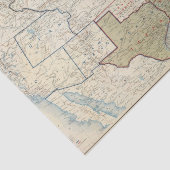 USA im Juni 1861 Seidenpapier (Ausschnitt)