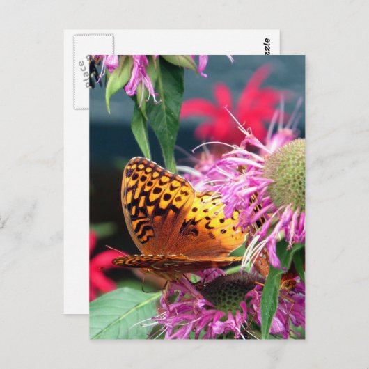 USA - Indiana - Brown Landkreis Staat Park Postkarte (Vorne/Hinten)