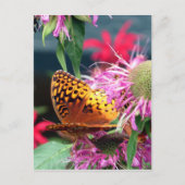 USA - Indiana - Brown Landkreis Staat Park Postkarte (Vorderseite)