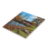 USA, Indiana, Cataract Falls Staat Recreation Fliese (Seite)