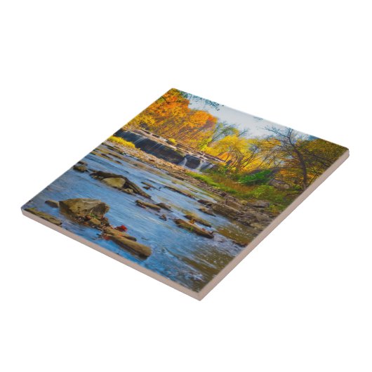 USA, Indiana. Cataract Falls Staat Recreation Fliese (Seite)