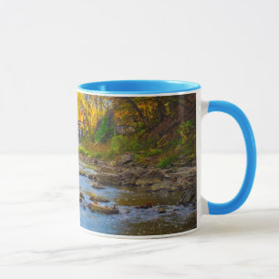 USA, Indiana. Cataract Falls Staat Recreation Tasse