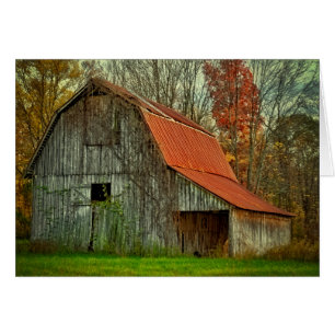USA, Indiana. ländliche Landschaft, weinberankte S