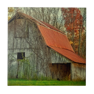 USA, Indiana. ländliche Landschaft, Weinreben-bede Fliese
