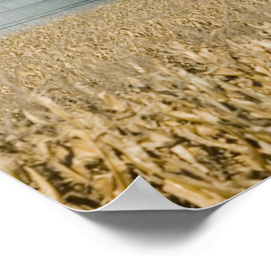 USA, IOWA, Froelich: Alter Bauernhof Poster (Ecke)