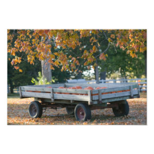 USA, IOWA, Madison County, Winterset: Howell's Fotodruck