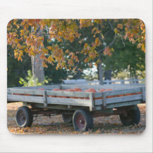 USA, IOWA, Madison County, Winterset: Howells Mousepad