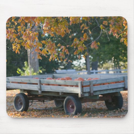 USA, IOWA, Madison County, Winterset: Howells Mousepad (Vorne)