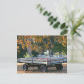 USA, IOWA, Madison Landkreis, Winterset: Howell's Postkarte (Stehend Vorderseite)