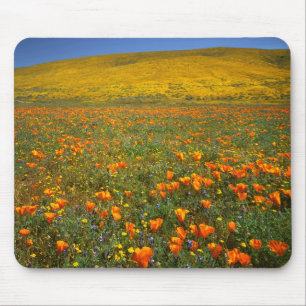 USA, Kalifornien, Antelope Valley Kalifornien Mousepad