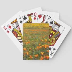 USA, Kalifornien, Antelope Valley Kalifornien Spielkarten