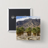 USA, Kalifornien, Anza-Borrego Desert Staat Park. Button (Vorne & Hinten)