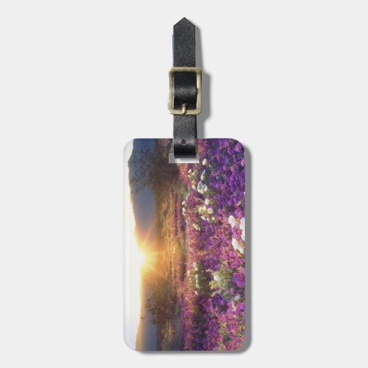 USA, Kalifornien, Anza-Borrego Desert Staat Park. Gepäckanhänger (Vorderseite vertikal)