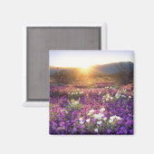 USA, Kalifornien, Anza-Borrego Desert Staat Park. Magnet (Vorderseite/Rückseite)