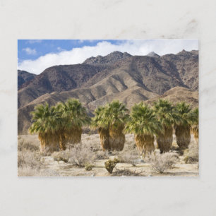 USA, Kalifornien, Anza-Borrego Desert Staat Park. Postkarte