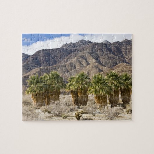 USA, Kalifornien, Anza-Borrego Desert Staat Park. Puzzle (Horizontal)