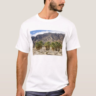 USA, Kalifornien, Anza-Borrego Desert Staat Park. T-Shirt