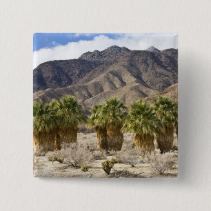 USA, Kalifornien, Anza-Borrego Desert State Park. Button