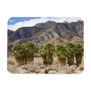 USA, Kalifornien, Anza-Borrego Desert State Park. Magnet