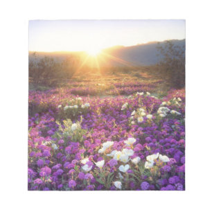 USA, Kalifornien, Anza-Borrego Desert State Park. Notizblock