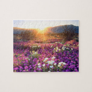 USA, Kalifornien, Anza-Borrego Desert State Park.  Puzzle