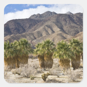 USA, Kalifornien, Anza-Borrego Desert State Park. Quadratischer Aufkleber
