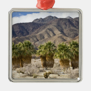 USA, Kalifornien, Anza-Borrego Desert State Park. Silbernes Ornament