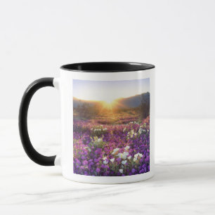 USA, Kalifornien, Anza-Borrego Desert State Park. Tasse