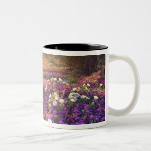 USA, Kalifornien, Anza-Borrego Desert State Park. Zweifarbige Tasse