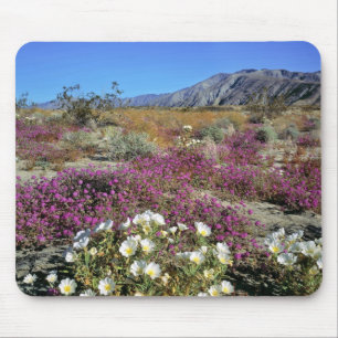 USA, Kalifornien, Anza-Borrego DSP. Dünenabend Mousepad