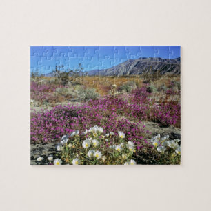 USA, Kalifornien, Anza-Borrego DSP. Dünenabend Puzzle