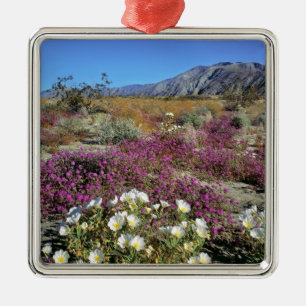 USA, Kalifornien, Anza-Borrego DSP. Dünenabend Silbernes Ornament