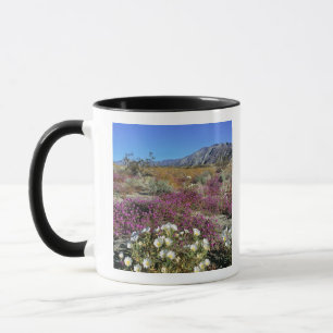 USA, Kalifornien, Anza-Borrego DSP. Dünenabend Tasse