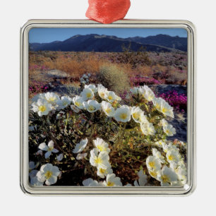 USA, Kalifornien, Anza-Borrego DSP. Dünndarm 2 Silbernes Ornament