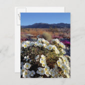 USA, Kalifornien, Anza-Borrego DSP. Dünner Abend 2 Postkarte (Vorne/Hinten)