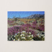 USA, Kalifornien, Anza-Borrego DSP. Dünner Abend Puzzle (Horizontal)