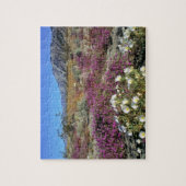 USA, Kalifornien, Anza-Borrego DSP. Dünner Abend Puzzle (Vertikal)