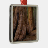 USA, Kalifornien, Baum des riesigen Mammutbaums Ornament Aus Metall (Rechts)