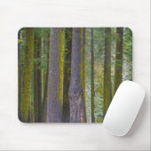 USA, Kalifornien. Baumstämme mit Moosbedeckung Mousepad (Mit Mouse)