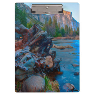 USA, Kalifornien. Baumwurzeln im Merced River Klemmbrett