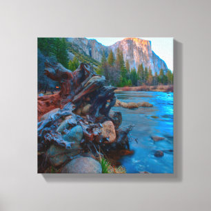 USA, Kalifornien. Baumwurzeln im Merced River Leinwanddruck