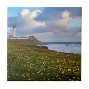 USA, Kalifornien. Big Sur Panorama 2 Fliese