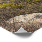 USA, Kalifornien, Big Sur, raue Küste Poster (Ecke)