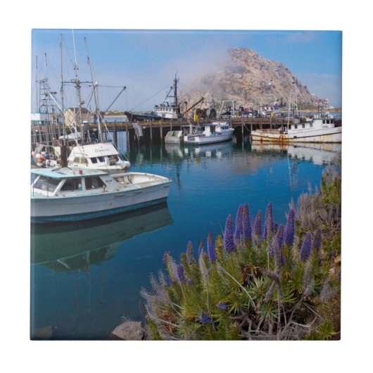 USA, Kalifornien. Boote in Morro Bay Fliese (Vorderseite)