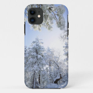 USA, Kalifornien, Cleveland National Forest, Case-Mate iPhone Hülle