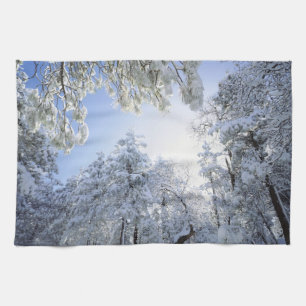 USA, Kalifornien, Cleveland National Forest, Handtuch