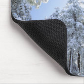 USA, Kalifornien, Cleveland National Forest, Mousepad (Ecke)