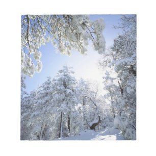 USA, Kalifornien, Cleveland National Forest, Notizblock