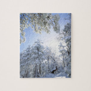 USA, Kalifornien, Cleveland National Forest, Puzzle
