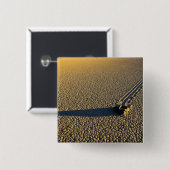 USA, Kalifornien, Death Valley National Park.2 Button (Vorne & Hinten)